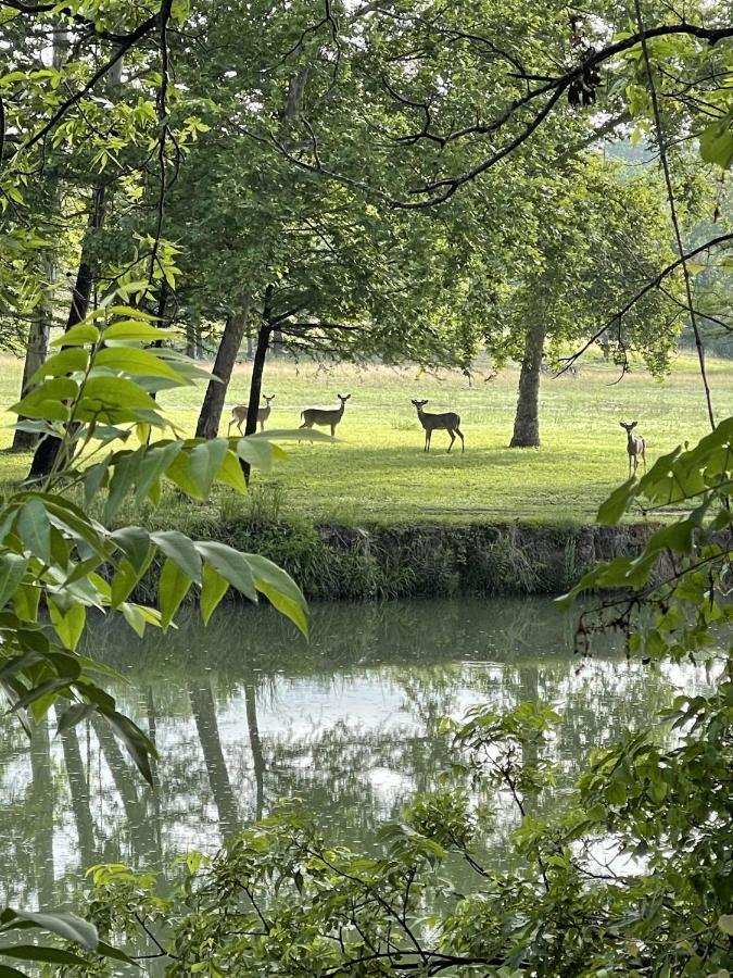 Htr Tx Hill Country Campground Kerrville Esterno foto